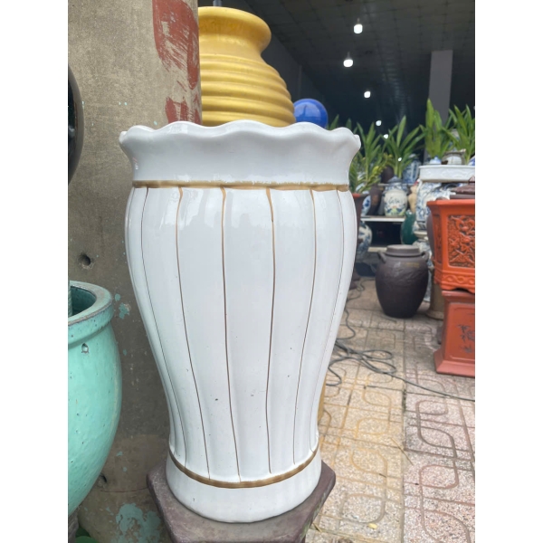 CHẬU BÈO MIỆNG KẺ VÀNG