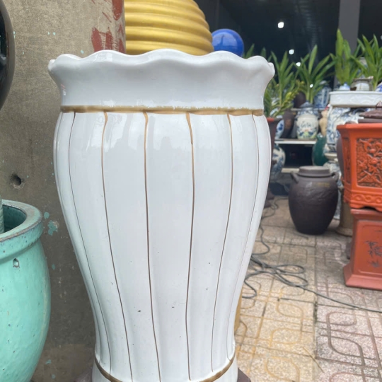 CHẬU BÈO MIỆNG KẺ VÀNG