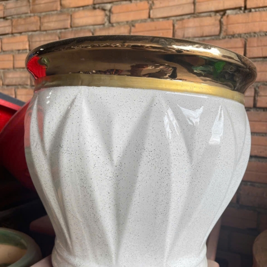 CHẬU SỨ TRỒNG CÂY VIỀN VÀNG